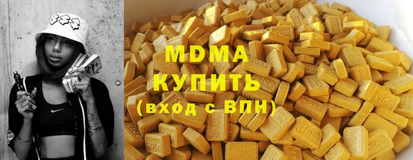 гашик Алексин