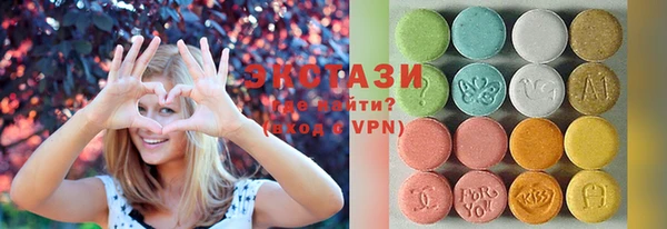 гашик Алексин
