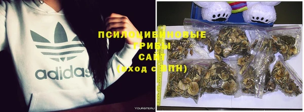 гашик Алексин