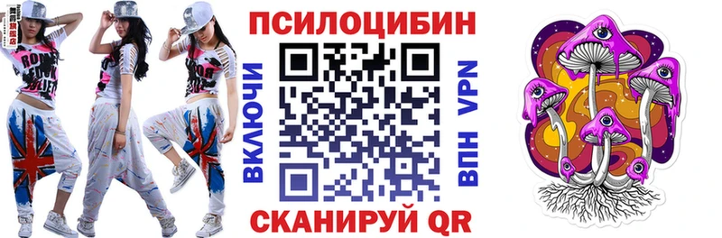 где купить Цимлянск Псилоцибиновые грибы прущие грибы